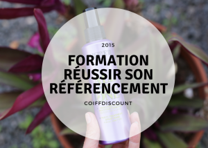 formation referencement à rennes