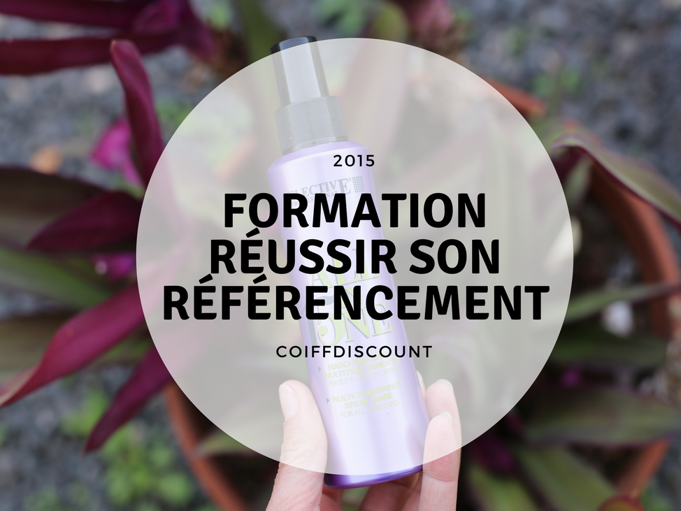 formation referencement à rennes